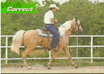 Correct Flat Foot Walk